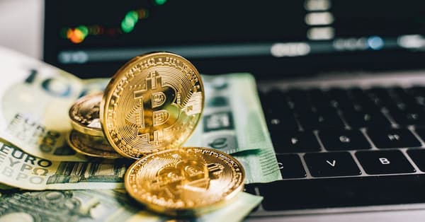 navigating meme coin surge future trends