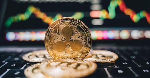 meme coin mastery strategies blockchain network