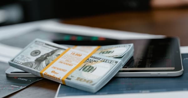 navigating crypto downturn what blockchain network