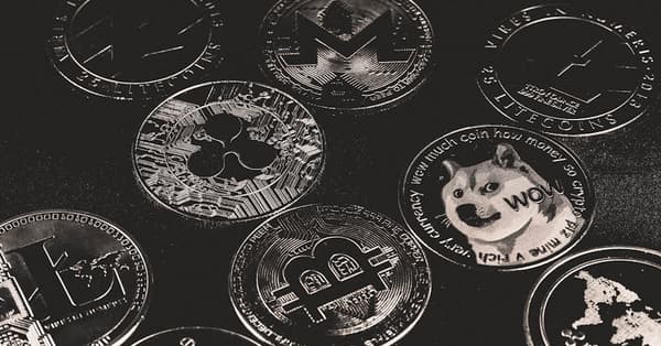 dogecoin shiba bull market crypto exchange