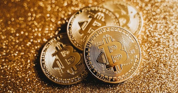 navigating crypto wave meme digital innovation