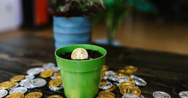 harnessing hype grayscales dogecoin trading platform