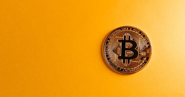 mastering crypto bull meme digital innovation