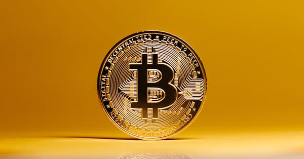 meme coins surge what future trends